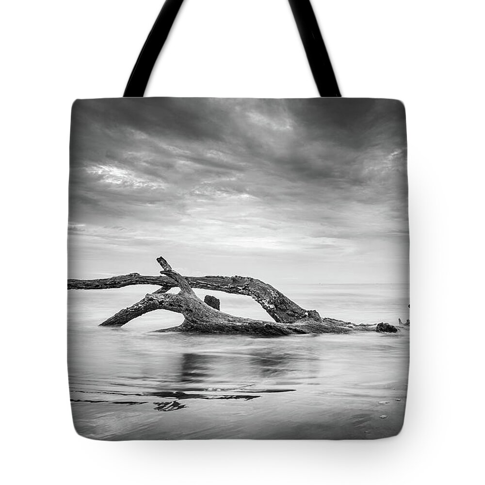 Driftwood Beach Tote Bag featuring the photograph Driftwood Beach In Black And White by Jordan Hill