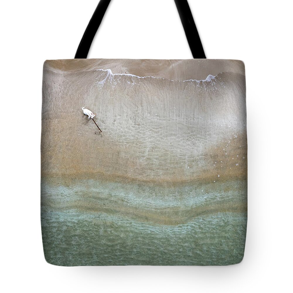 Animal Running Tote Bag featuring the photograph Drone aerial of white Dog running and playing at empty sandy beach by Michalakis Ppalis