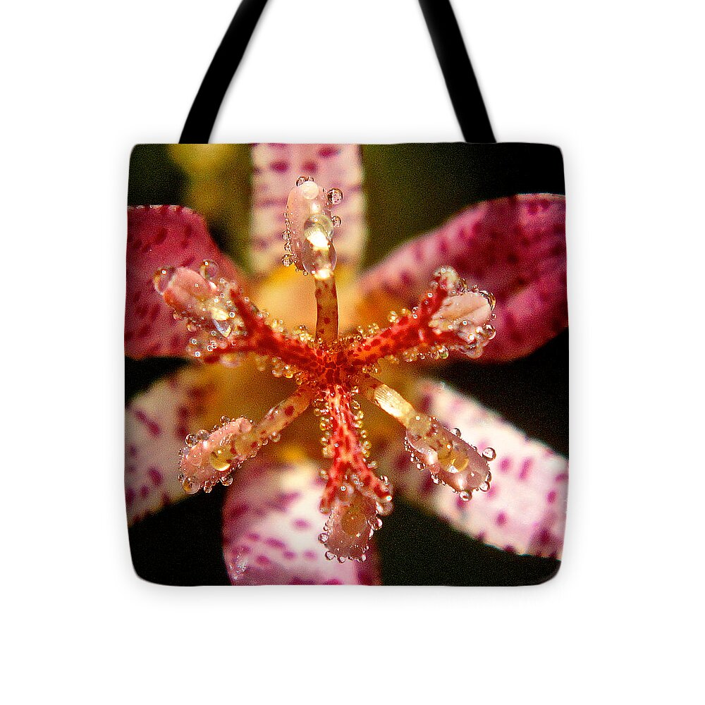 Flower Tote Bag featuring the photograph Dropmatica by Richard Cummings