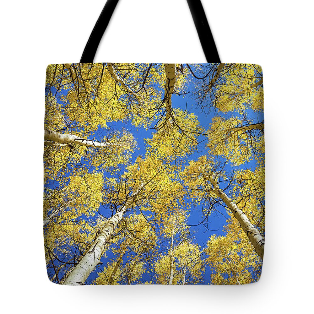 Art Tote Bag featuring the photograph Drowsy Days by Rick Furmanek