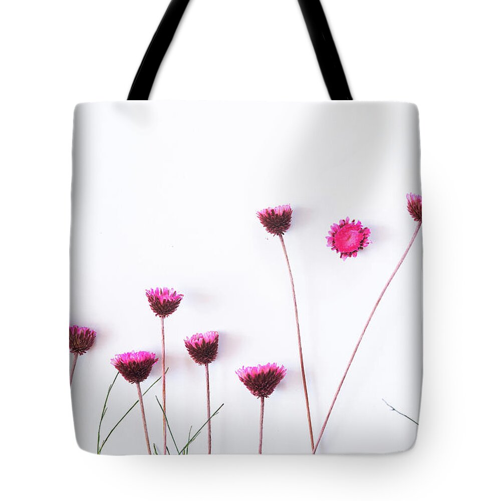 Dry Flowers Tote Bag featuring the photograph Dry purple floral bouquet on white background. by Michalakis Ppalis