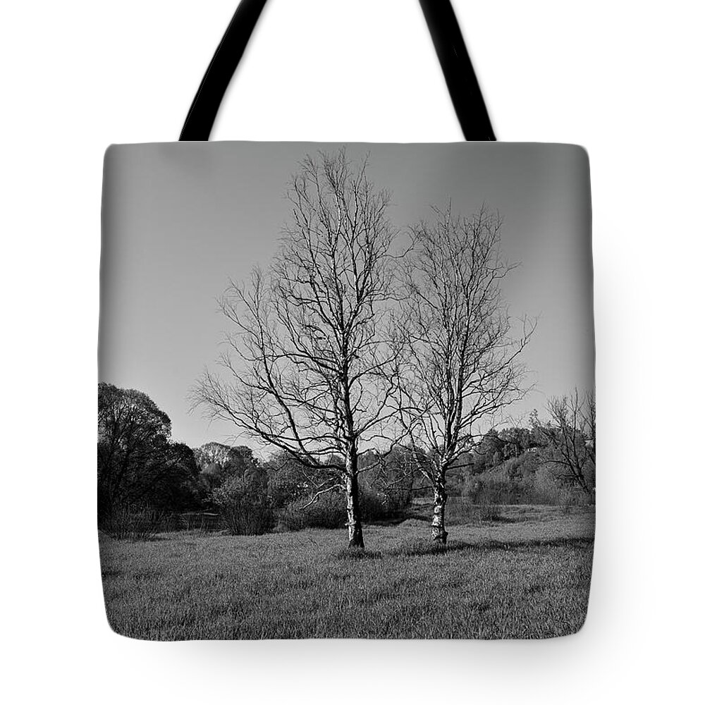 Trees Dry Out Over Time. B.w. Tote Bag featuring the photograph Dry trees. by Sergei Fomichev