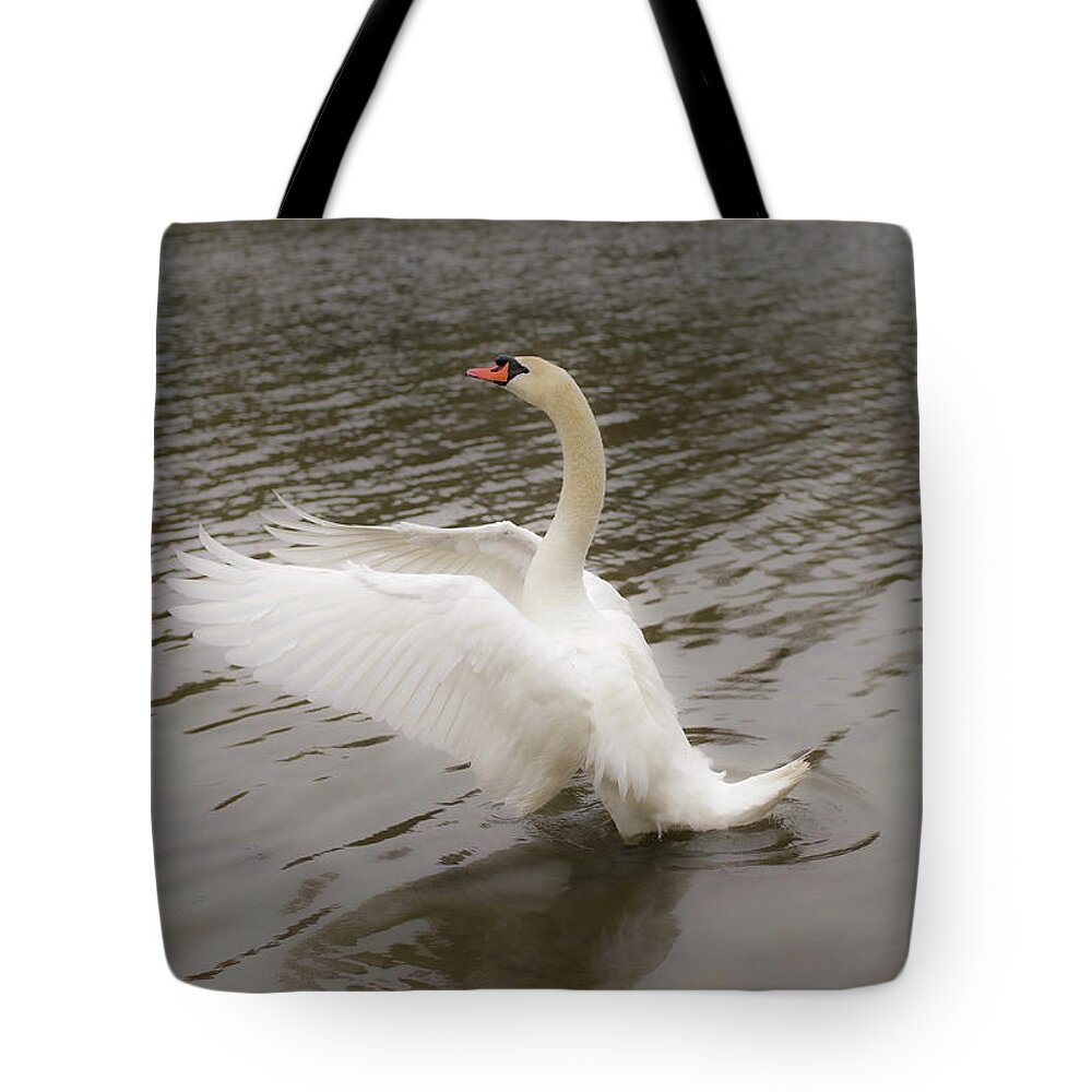 Swan Tote Bag featuring the pyrography Drying by Aarthi Arunkumar