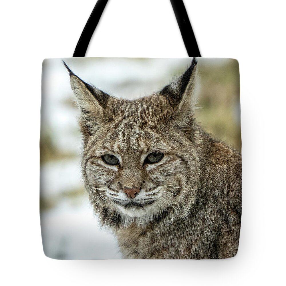  Tote Bag featuring the photograph Dsc05216 by John T Humphrey