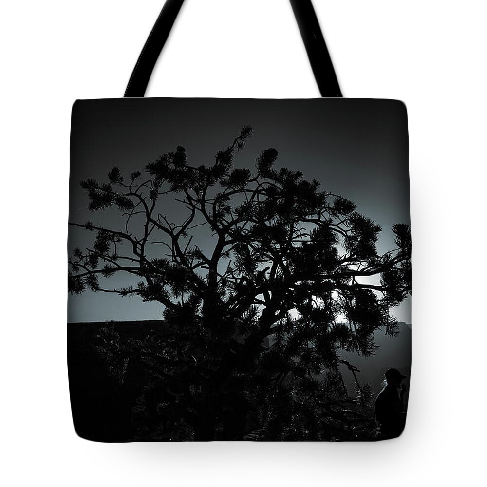 Black And White Photograph Tote Bag featuring the photograph Sunset Grand Canyon by Ron Roberts