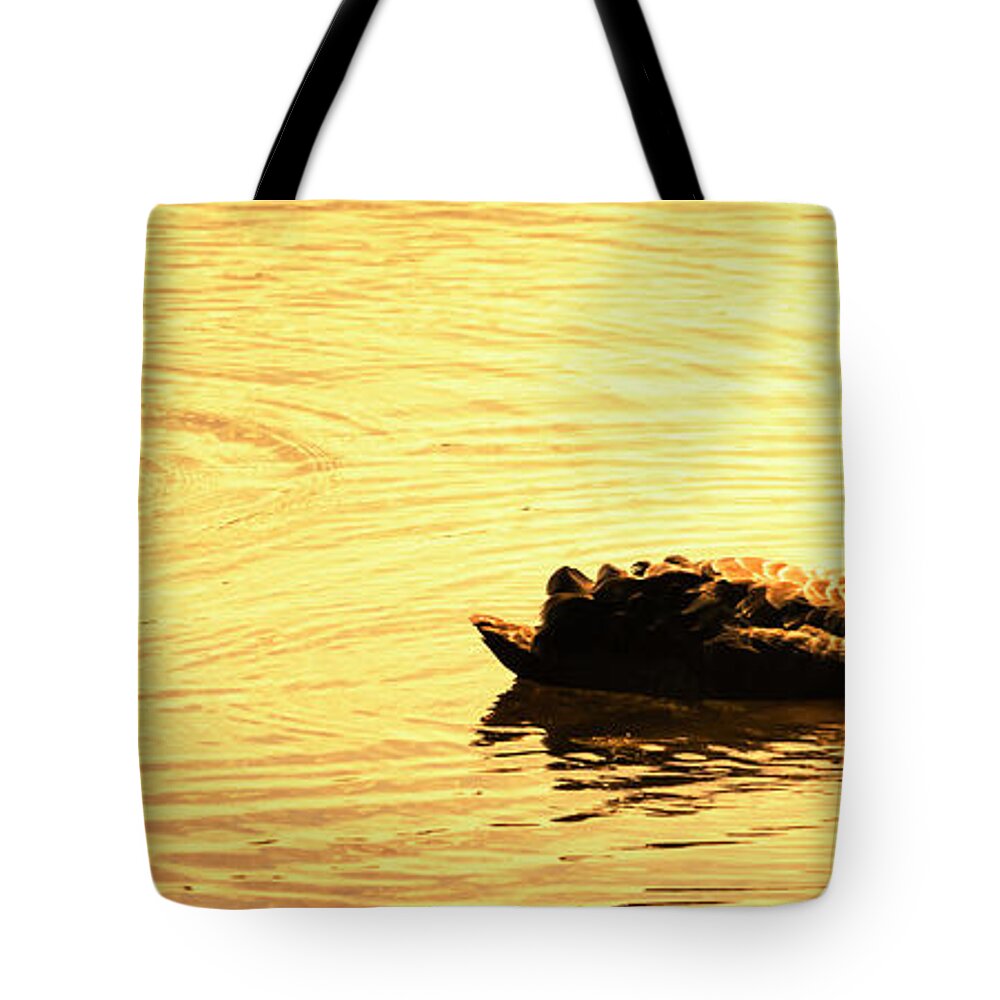 Sunset Tote Bag featuring the photograph Duck Duck Swan by Jorgo Photography