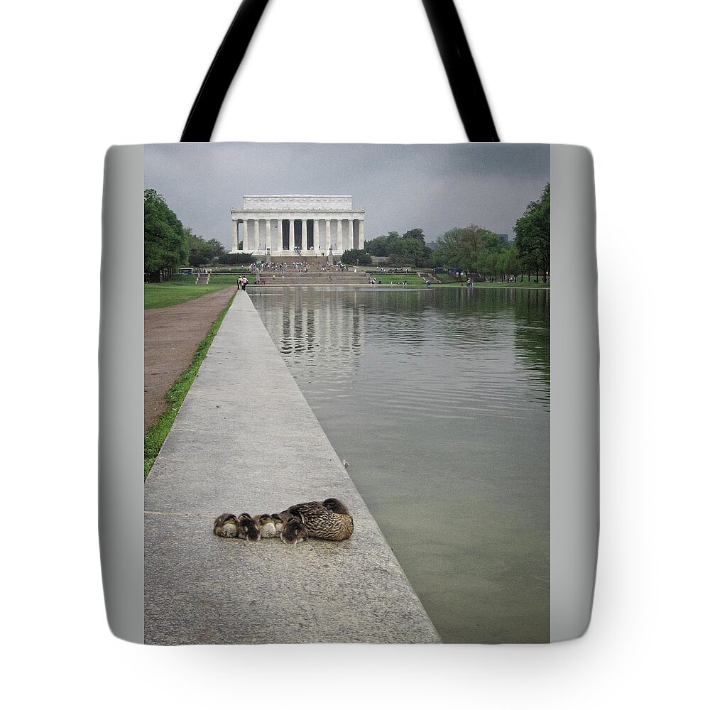 Lincoln Memorial Tote Bag featuring the photograph Duck Family and the Lincoln Memorial Washington DC by Mary Lee Dereske
