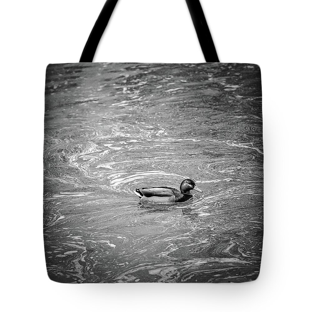 Duck In Creek Bw Tote Bag featuring the photograph duck in creek BW by Leif Sohlman