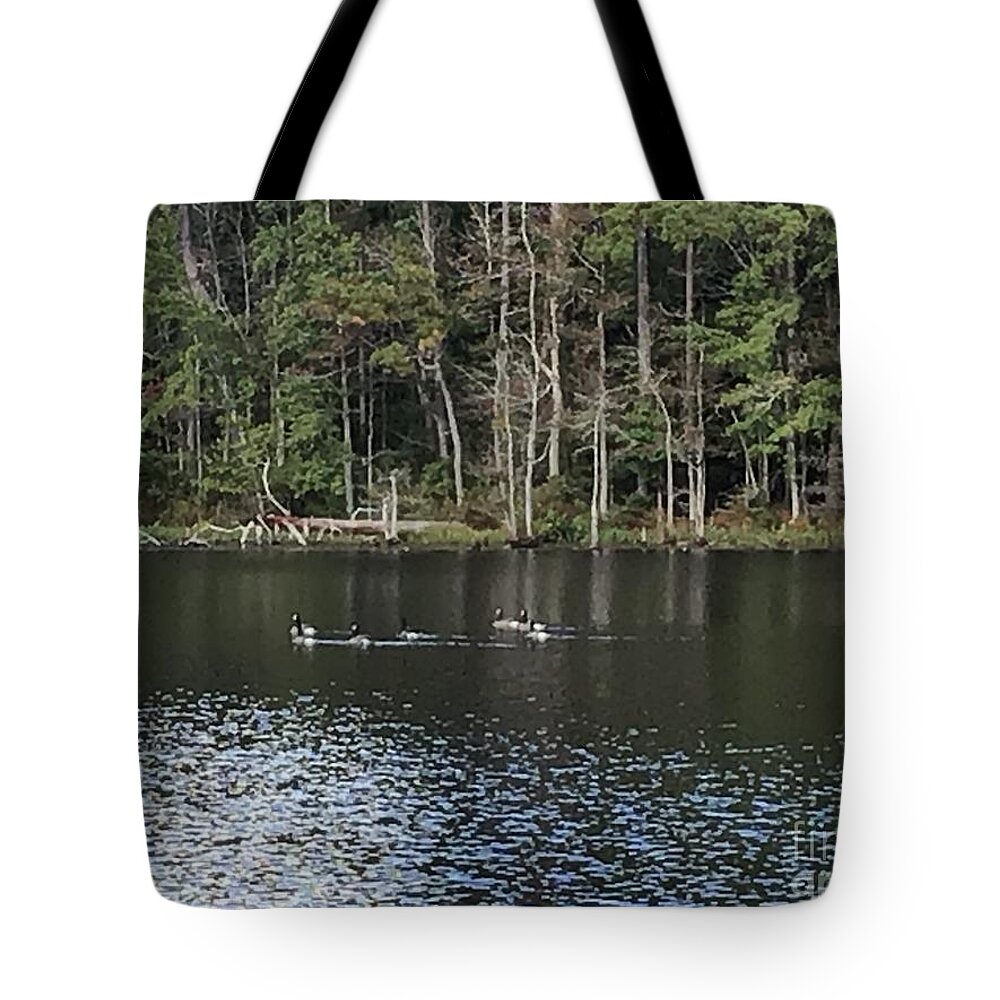 Four H Club Tote Bag featuring the photograph Ducks in Pond by Catherine Wilson