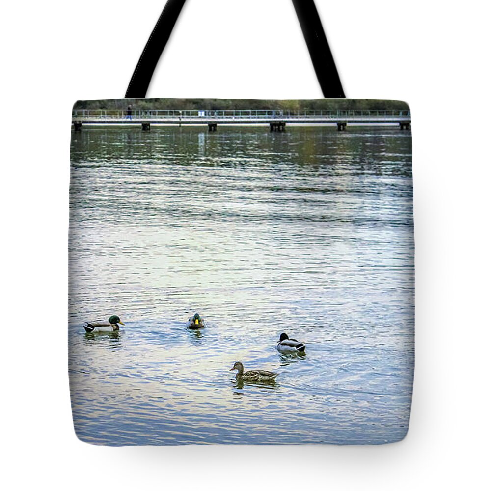 Animals Tote Bag featuring the photograph Ducks on the lake by Anamar Pictures