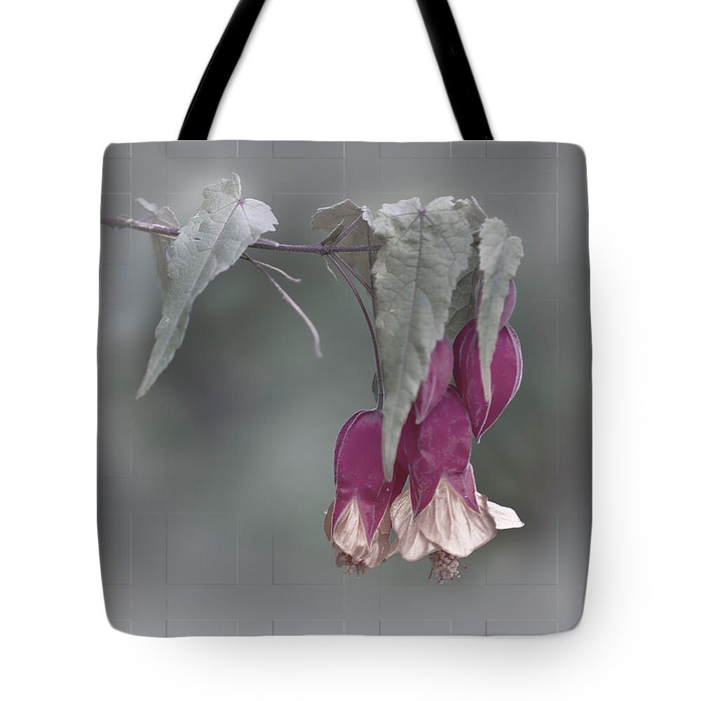 Flowers Tote Bag featuring the photograph Dusky Bells -Correa by Elaine Teague