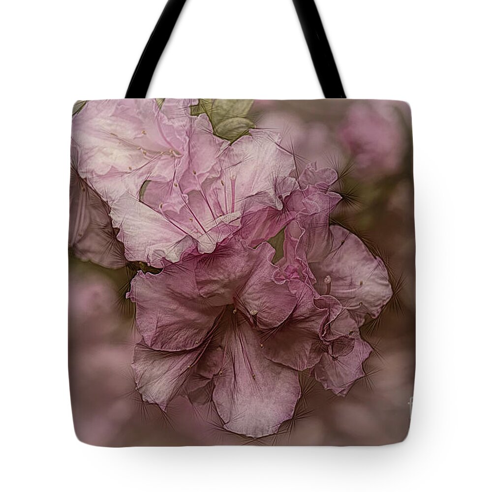 Azalea Tote Bag featuring the photograph Dusky Pink Azalea by Elaine Teague