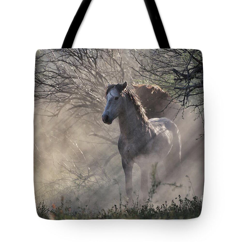 Stallion Tote Bag featuring the photograph Dust Rays by Shannon Hastings