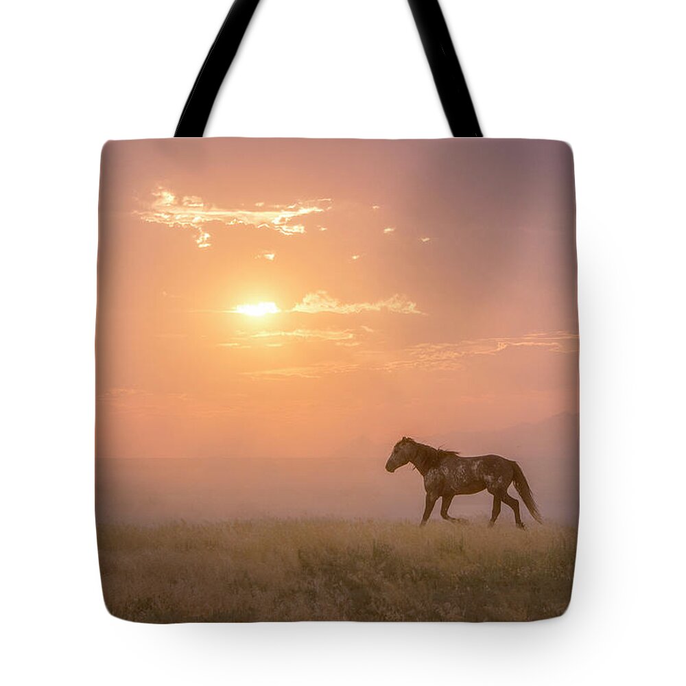 Wild Horse Tote Bag featuring the photograph Dusty at Sundown by Dirk Johnson