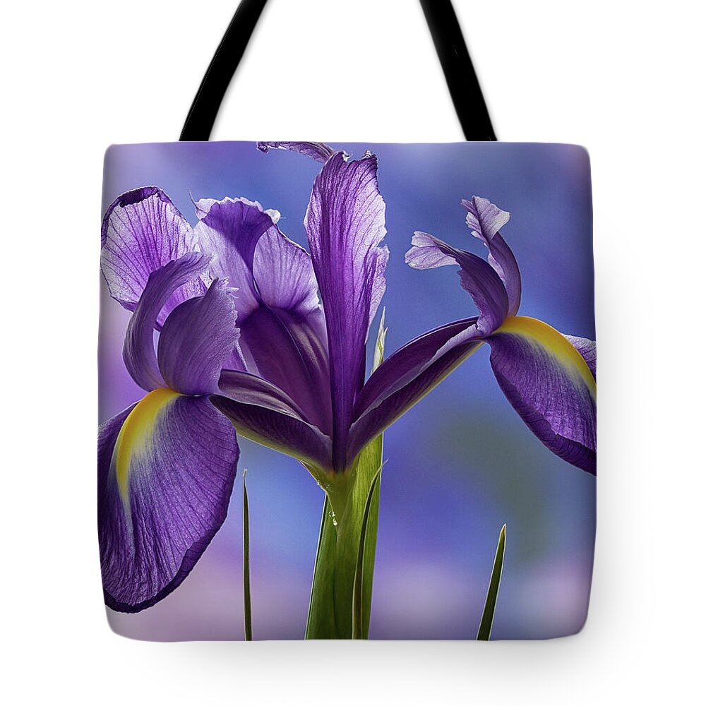 Floral Tote Bag featuring the photograph Dutch Iris by Shirley Mitchell