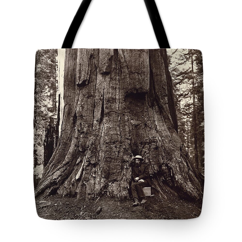 19th Tote Bag featuring the photograph Eadweard Muybridge and General Grant Tree, c. 1864 by Getty Research Institute