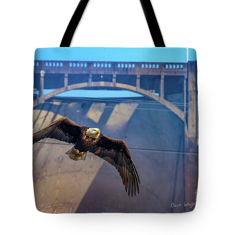 Eagle Tote Bag featuring the photograph Eagle at the Dam by David Wagenblatt