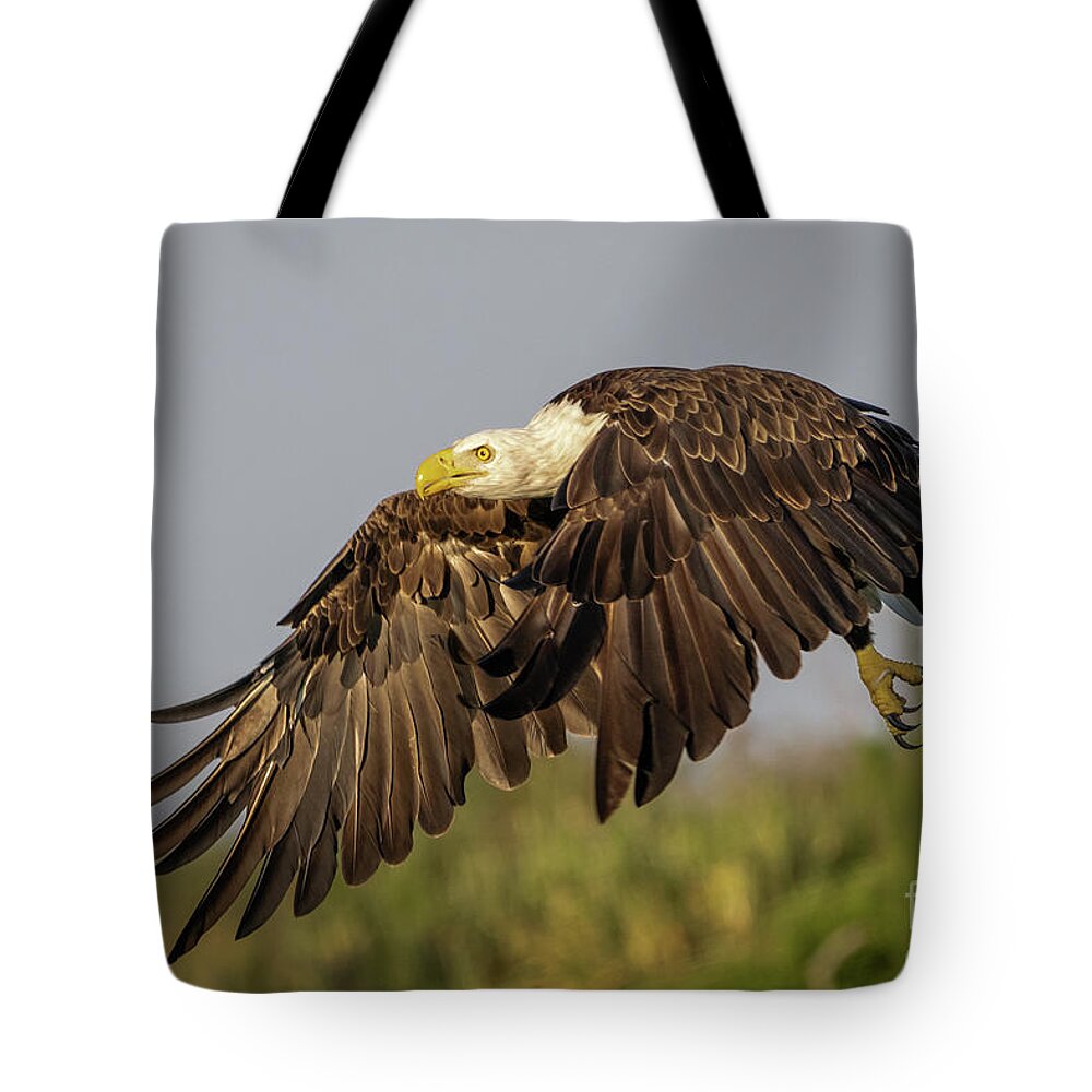Wagle Tote Bag featuring the photograph Eagle Flying Low by Tom Claud