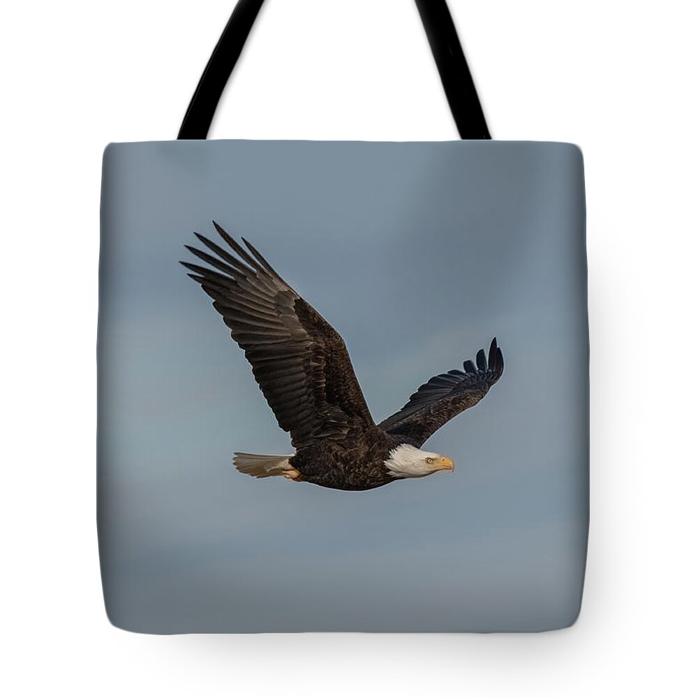 Eagle Tote Bag featuring the photograph Eagle in Flight by Jerry Cahill