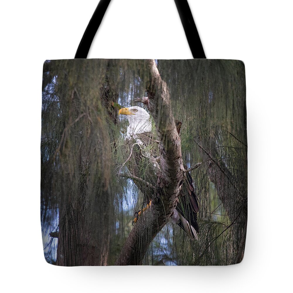 Eagle Tote Bag featuring the photograph Eagle in the Mist by Mark Andrew Thomas