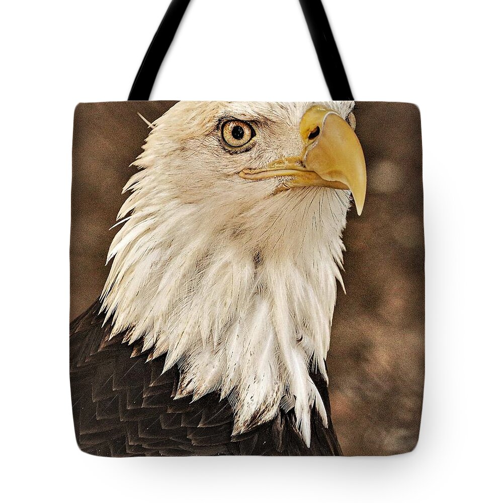Eagle Eye Feathers Close Yellow Tote Bag featuring the photograph Eagle by John Linnemeyer