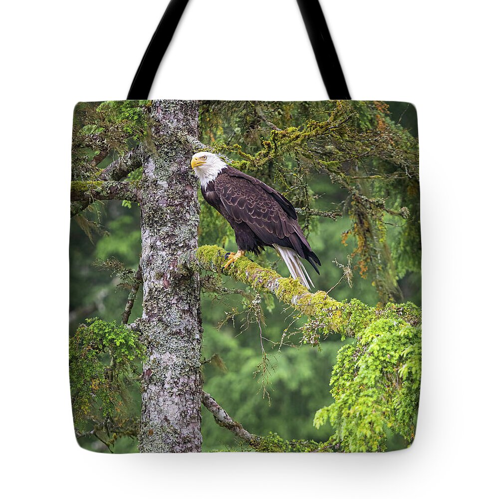 Eagle Tote Bag featuring the photograph Eagle Tree by Michael Rauwolf