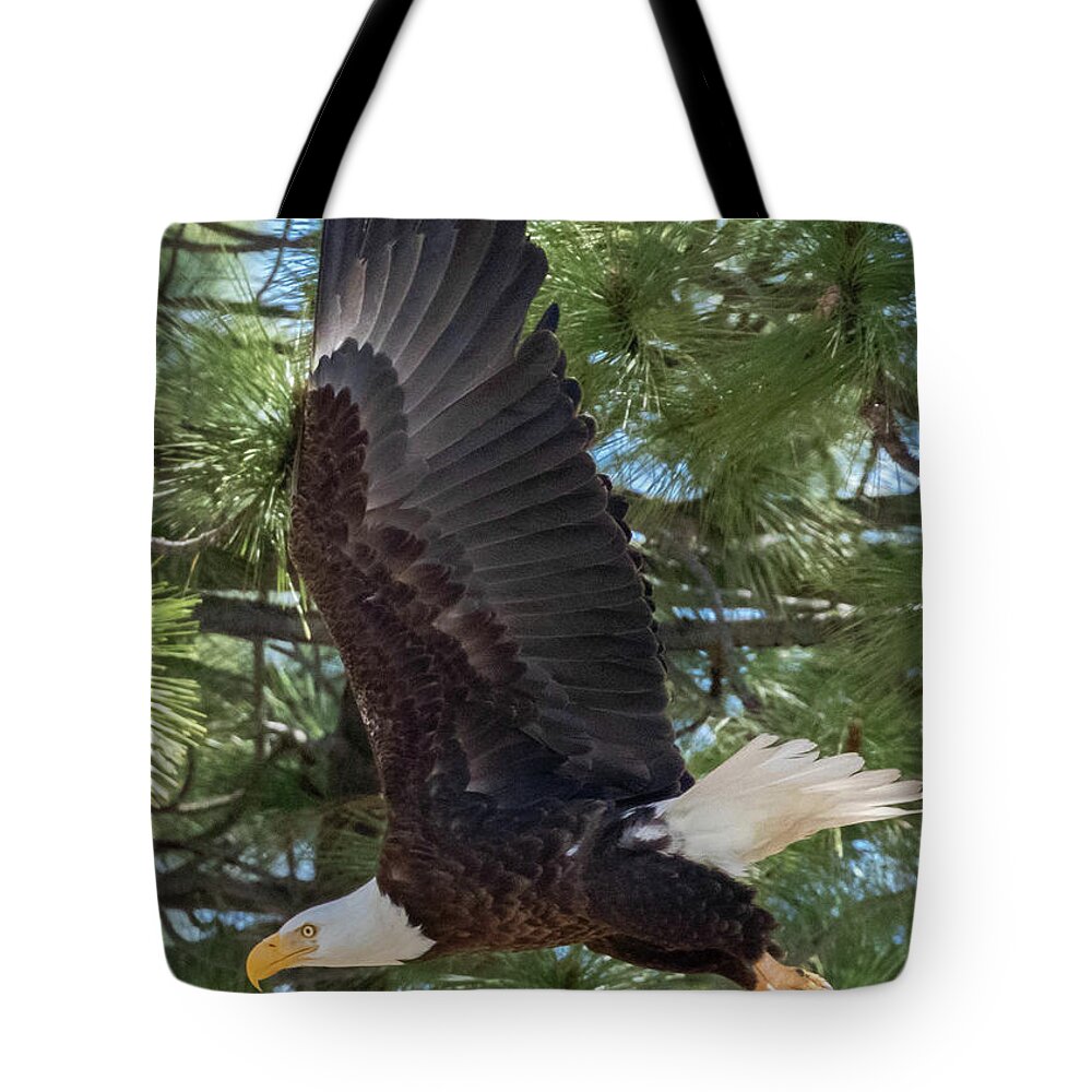 Eagle Tote Bag featuring the photograph Eagle wing Vertical by Randy Robbins