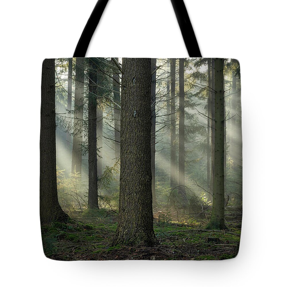 Autumn Tote Bag featuring the photograph Early morning light rays and fog between the trees by Anges Van der Logt