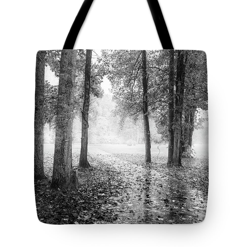 Carolina Tote Bag featuring the photograph Early Morning Walk Black and White by Debra and Dave Vanderlaan