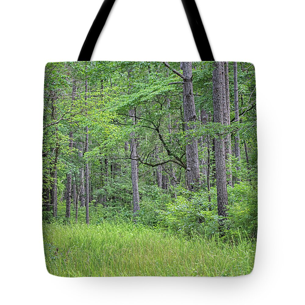 Woodlands Tote Bag featuring the photograph Early Summer in the Croatan National Forest - North Carolina by Bob Decker