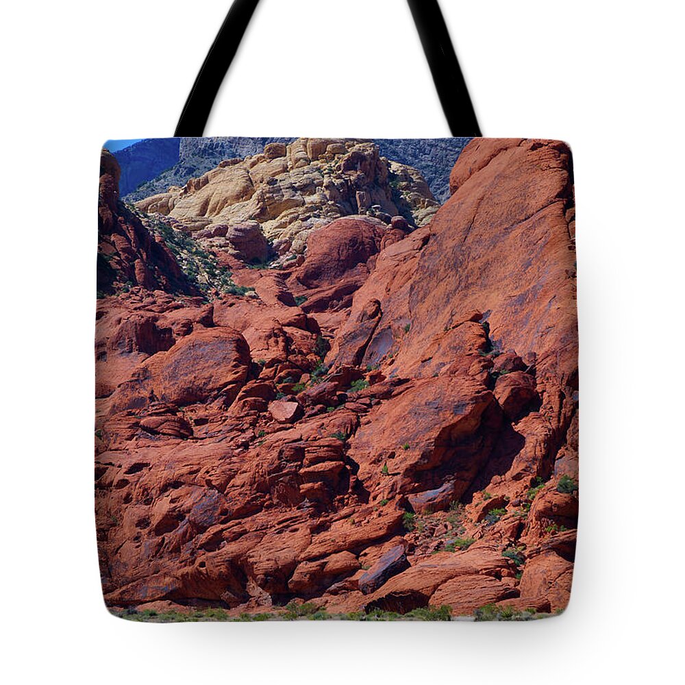  Tote Bag featuring the photograph Earth Contrasts by Rodney Lee Williams
