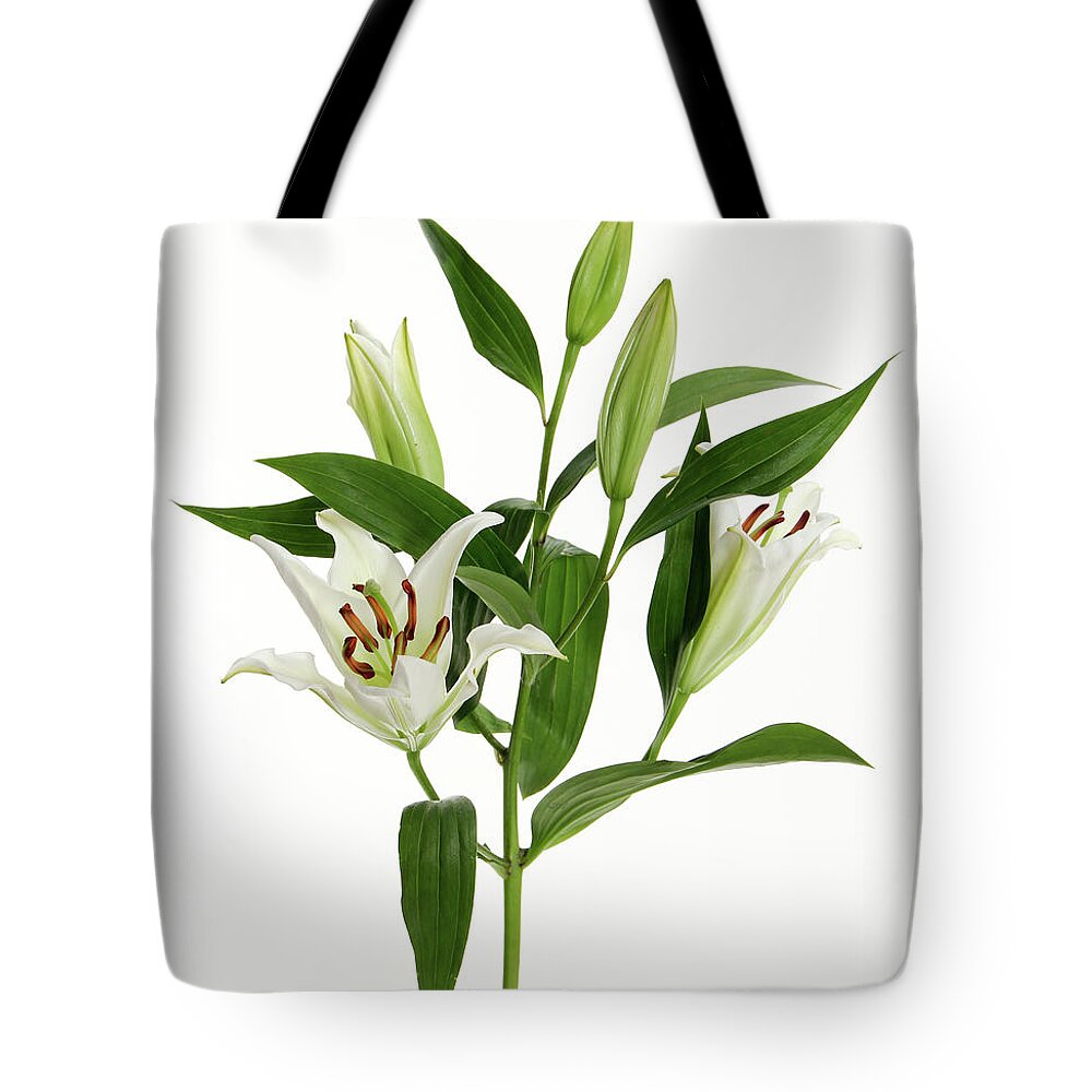 Easter Lilies Tote Bag featuring the photograph Easter Lilies by Sandi OReilly