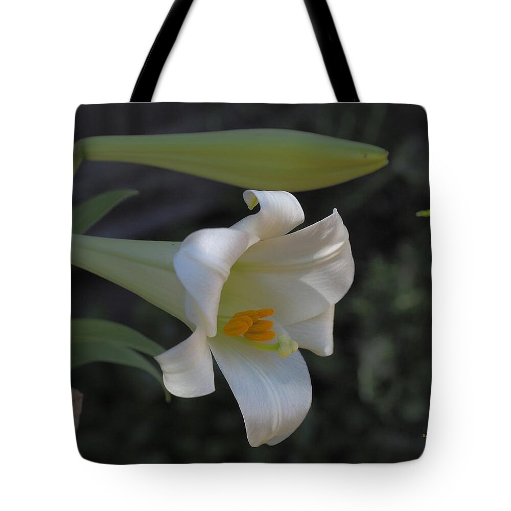 Botanical Tote Bag featuring the photograph Easter Lily Late Bloom by Richard Thomas