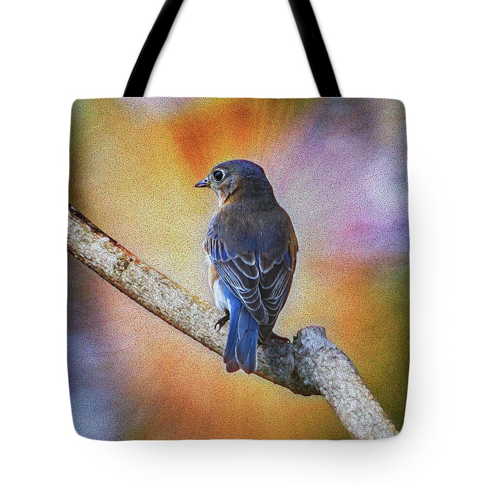 Bluebird Tote Bag featuring the photograph Eastern Bluebird by Sandra Rust