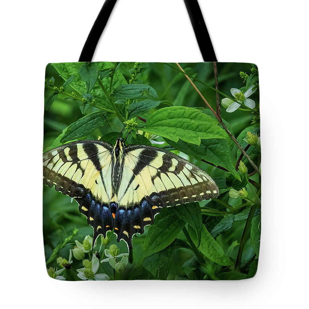 Butterfly Tote Bag featuring the photograph Eastern Tiger Swallowtail-2 by John Kirkland