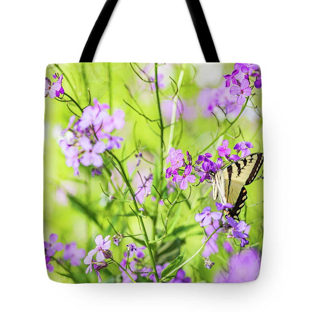 Animals Tote Bag featuring the photograph Eastern Tiger Swallowtail Butterfly 3 - Nature Photography by Amelia Pearn
