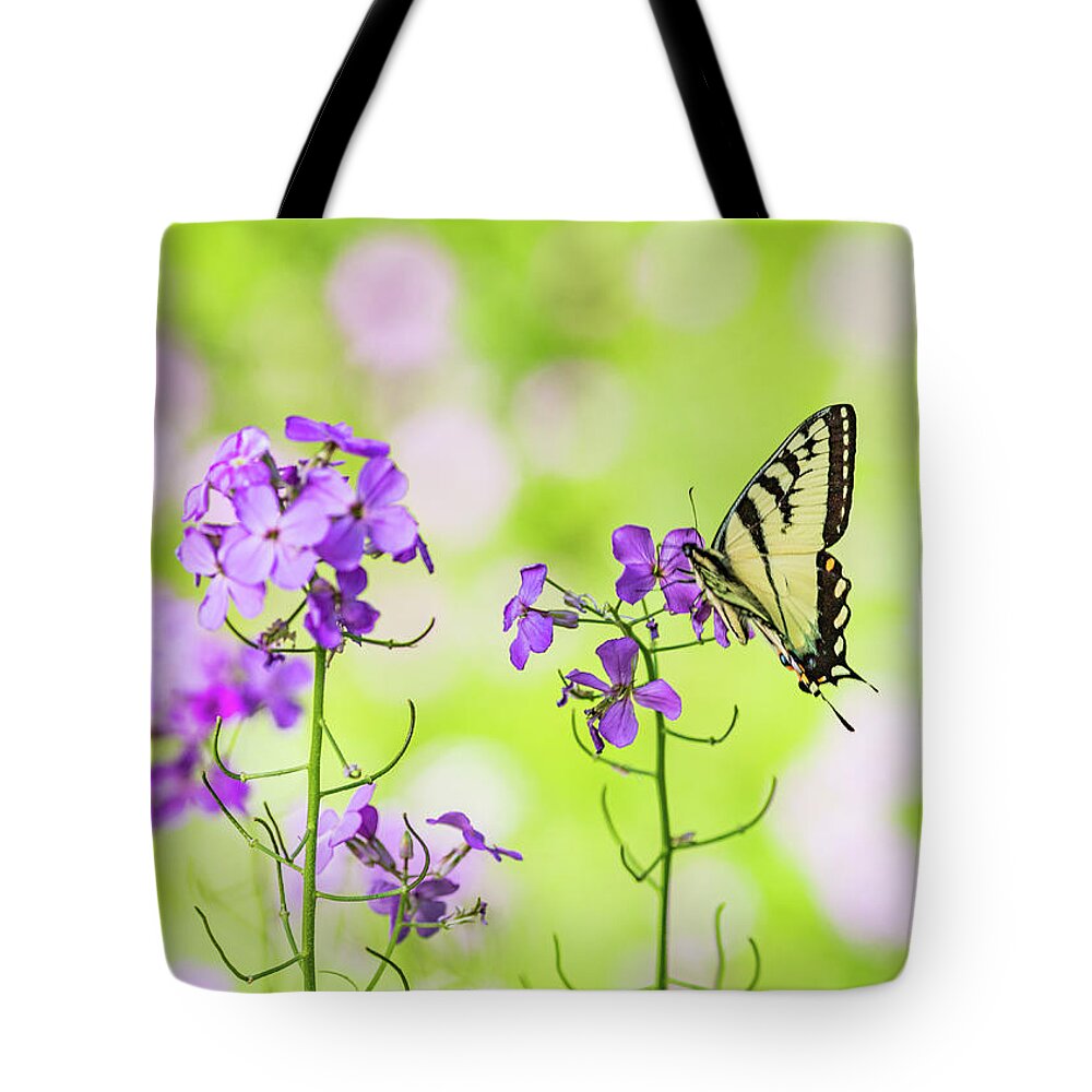 Animals Tote Bag featuring the photograph Eastern Tiger Swallowtail Butterfly 6 - Nature Photography by Amelia Pearn