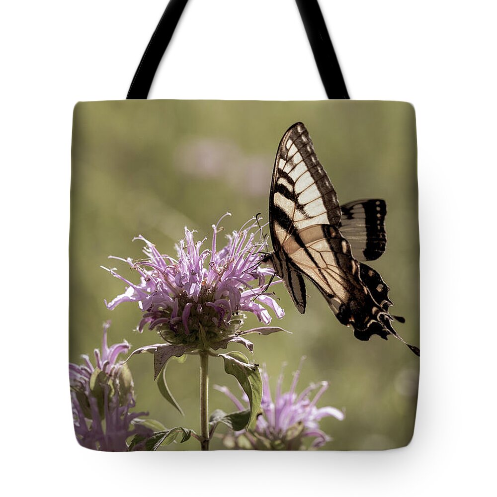 Animals Tote Bag featuring the photograph Eastern Tiger Swallowtail Butterfly at Dusk by Amelia Pearn