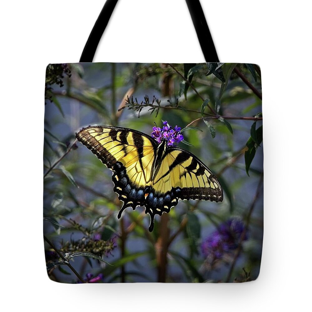 Animal Tote Bag featuring the photograph Eastern Tiger Swallowtail by Ronald Lutz