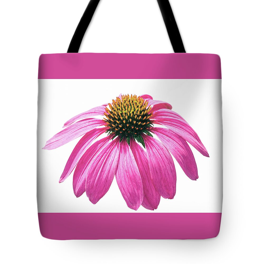 Coneflower Tote Bag featuring the photograph Echinacea #1 by Tanya C Smith