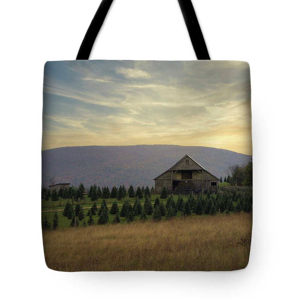 Landscape Tote Bag featuring the photograph Echoes in the Mountains by Stacy Abbott