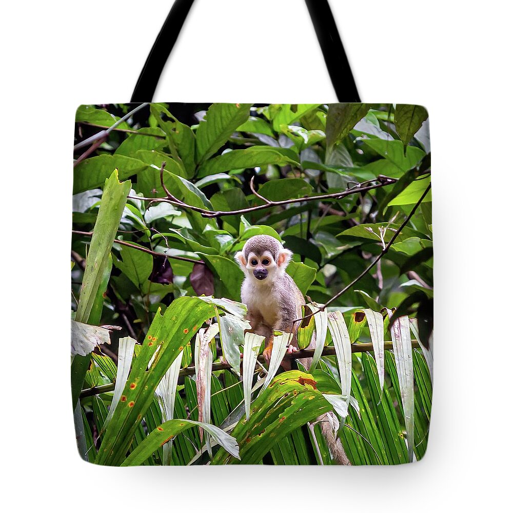 Amazon Tote Bag featuring the photograph Ecuadorian squirrel monkey by Henri Leduc