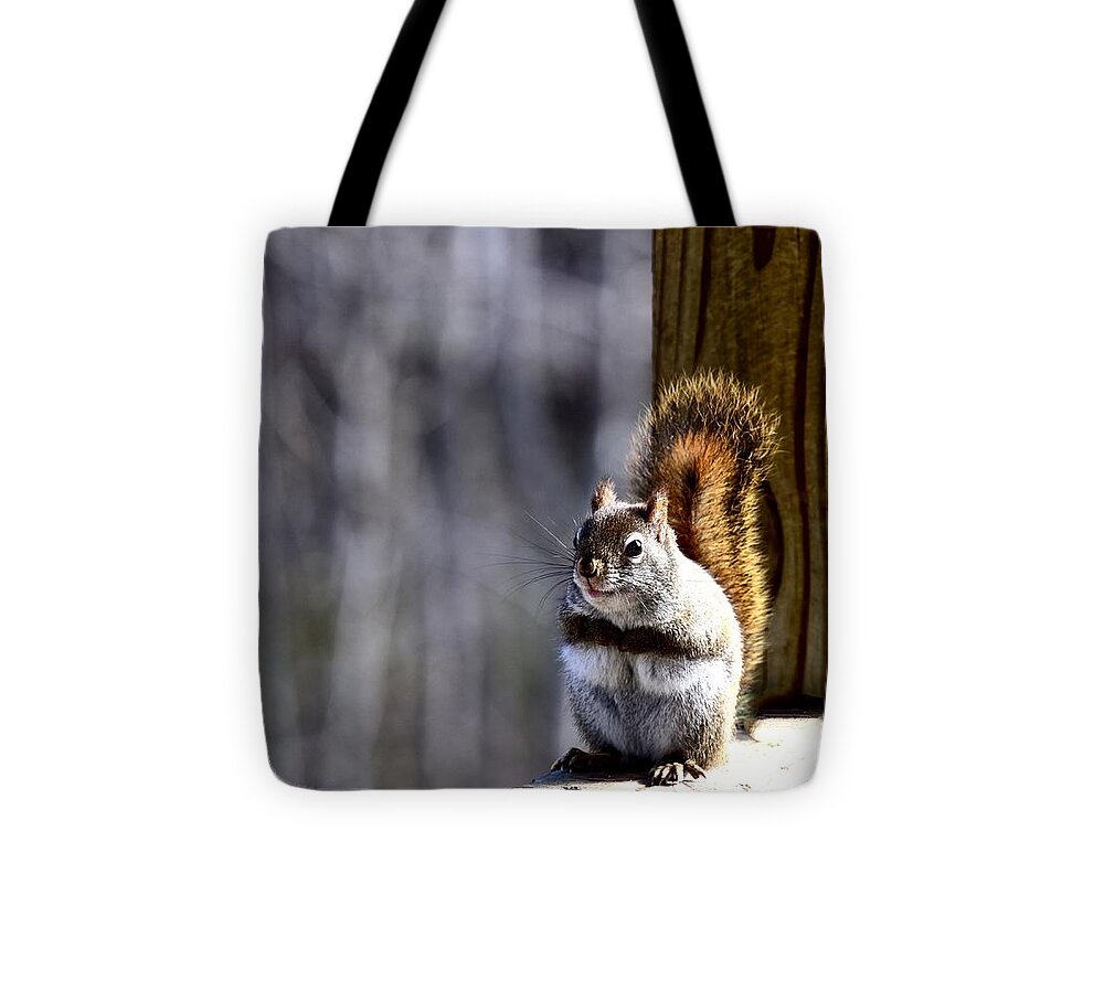 Red Squirrel Tote Bag featuring the photograph Eddie, the Red Squirrel by Lynn Hunt