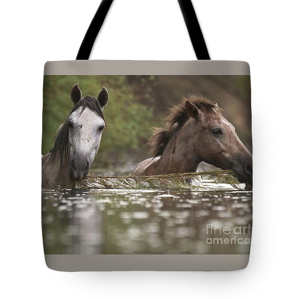 Salt River Wild Horses Tote Bag featuring the photograph Eel Grass Time by Shannon Hastings