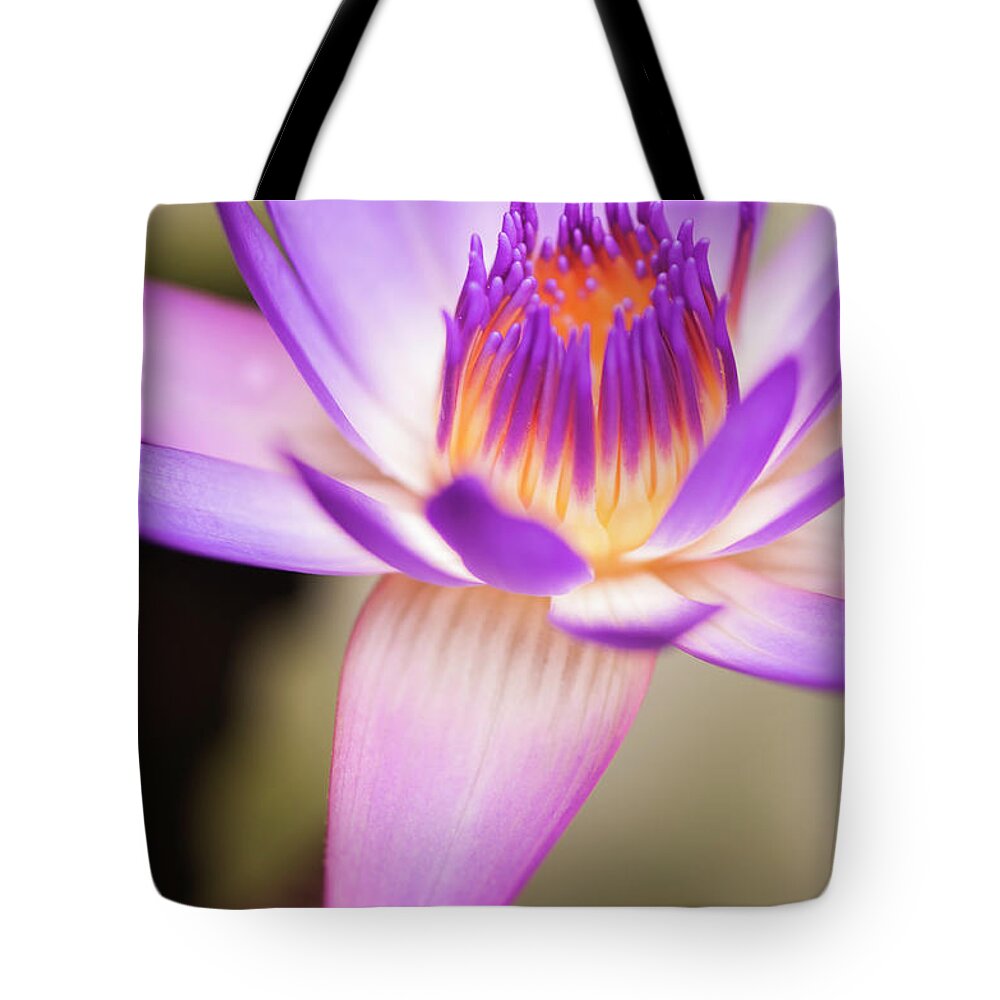 Floral Tote Bag featuring the photograph Effervescence by Usha Peddamatham