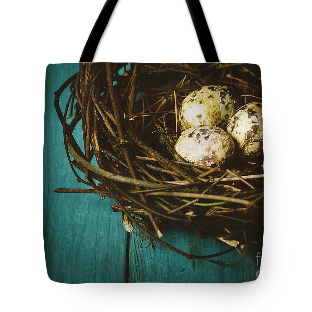Easter Tote Bag featuring the photograph Eggs in Nest by Jelena Jovanovic