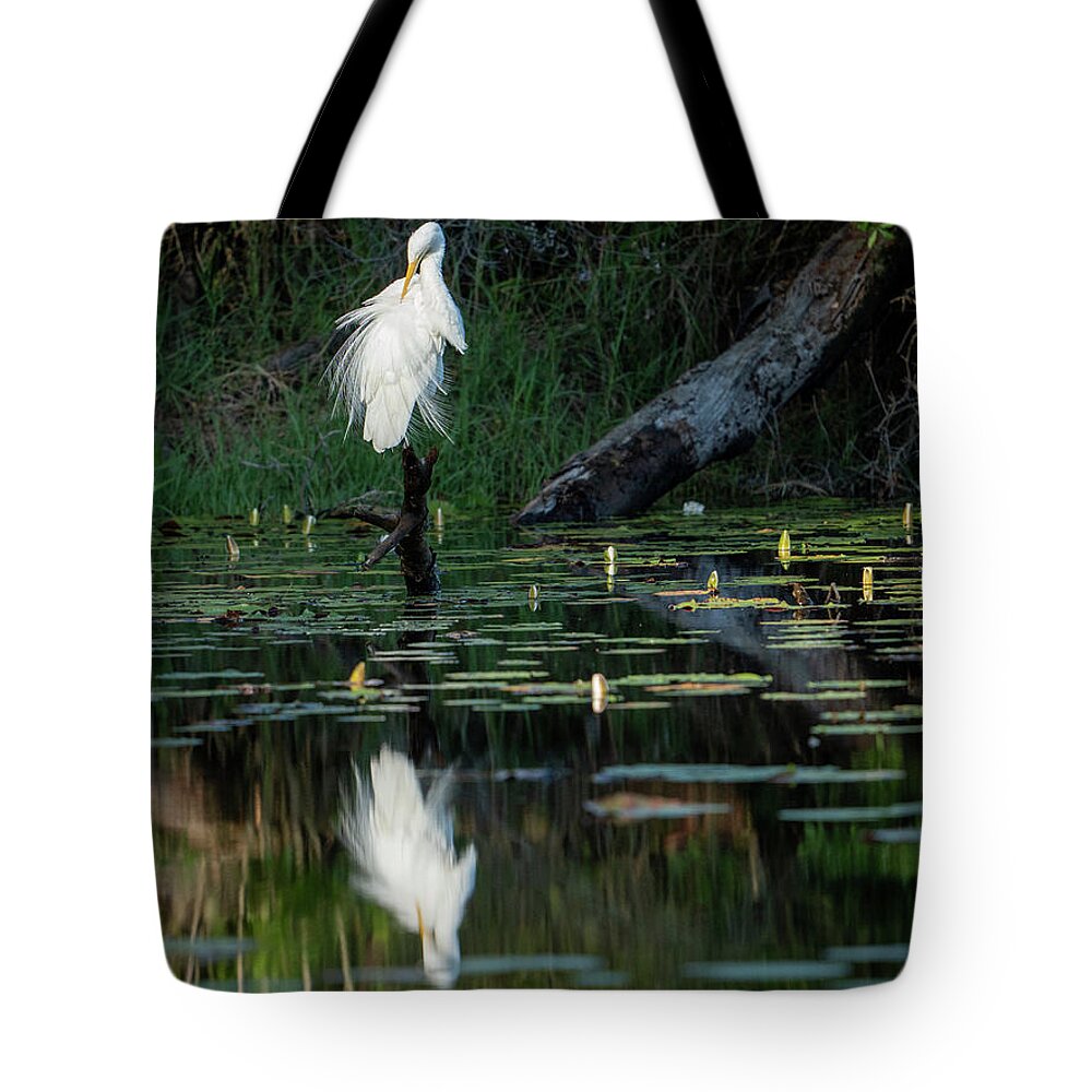 Egret Tote Bag featuring the photograph Egret, 4.18.22 by Brad Boland