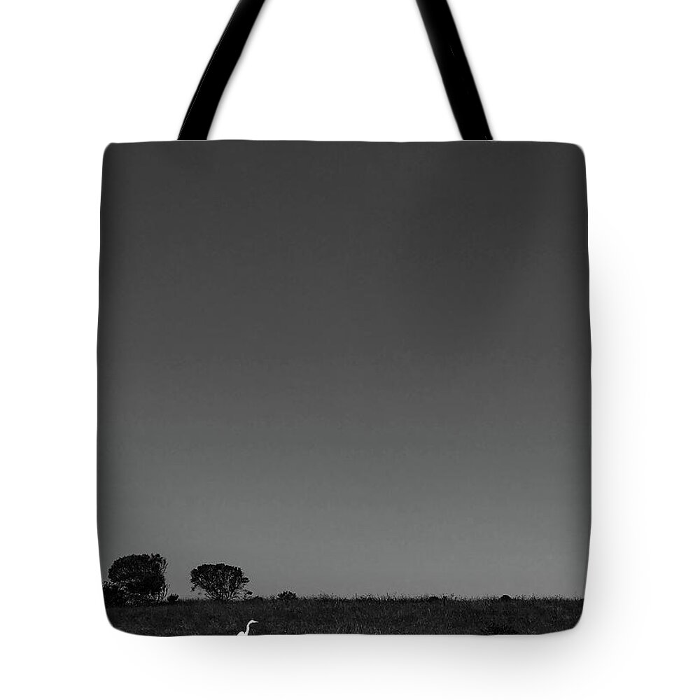 Egret Tote Bag featuring the photograph Egret and Moon by Lorraine Devon Wilke