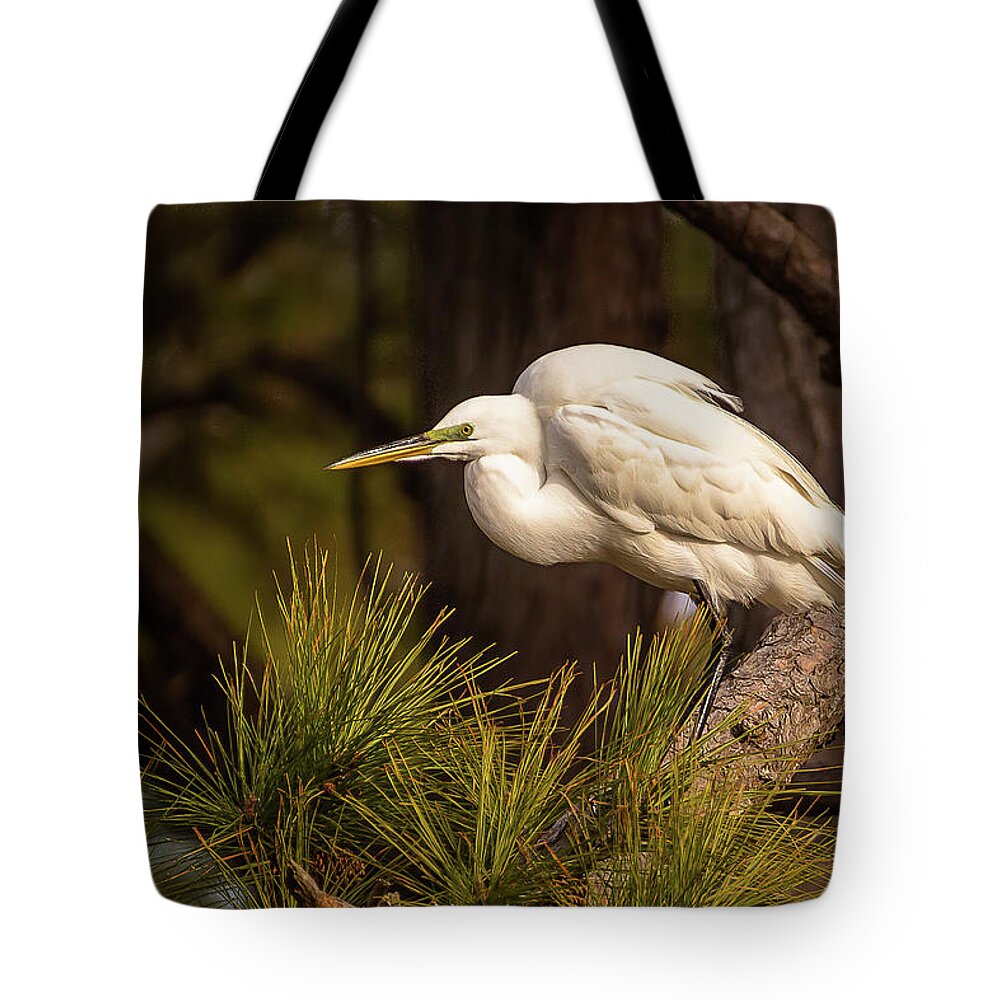 Chincoteague Tote Bag featuring the photograph Egret at take-off by Robert Miller