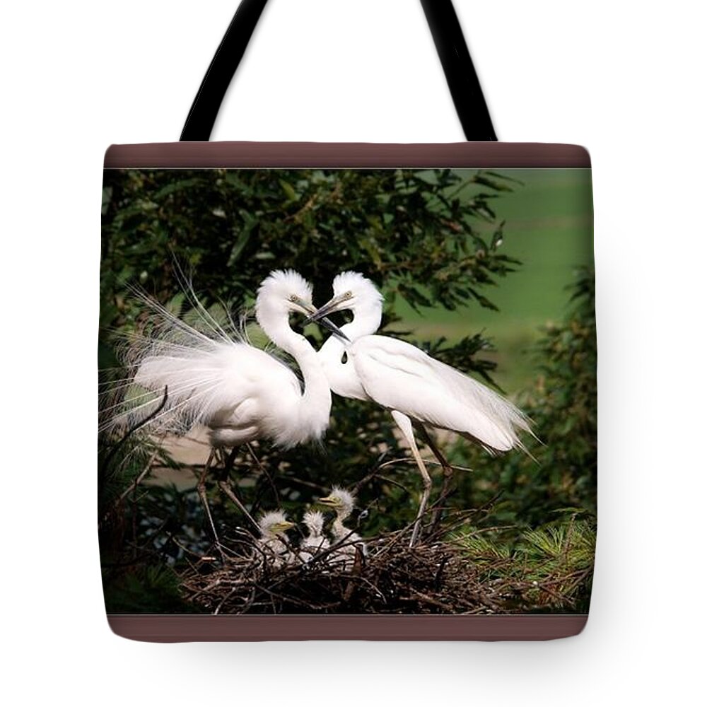 Egret Tote Bag featuring the photograph Egret Family by Nancy Ayanna Wyatt